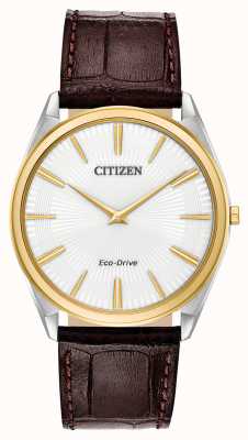 Citizen Stiletto | conduite écologique pour hommes | bracelet en cuir marron | cadran blanc AR3074-03A